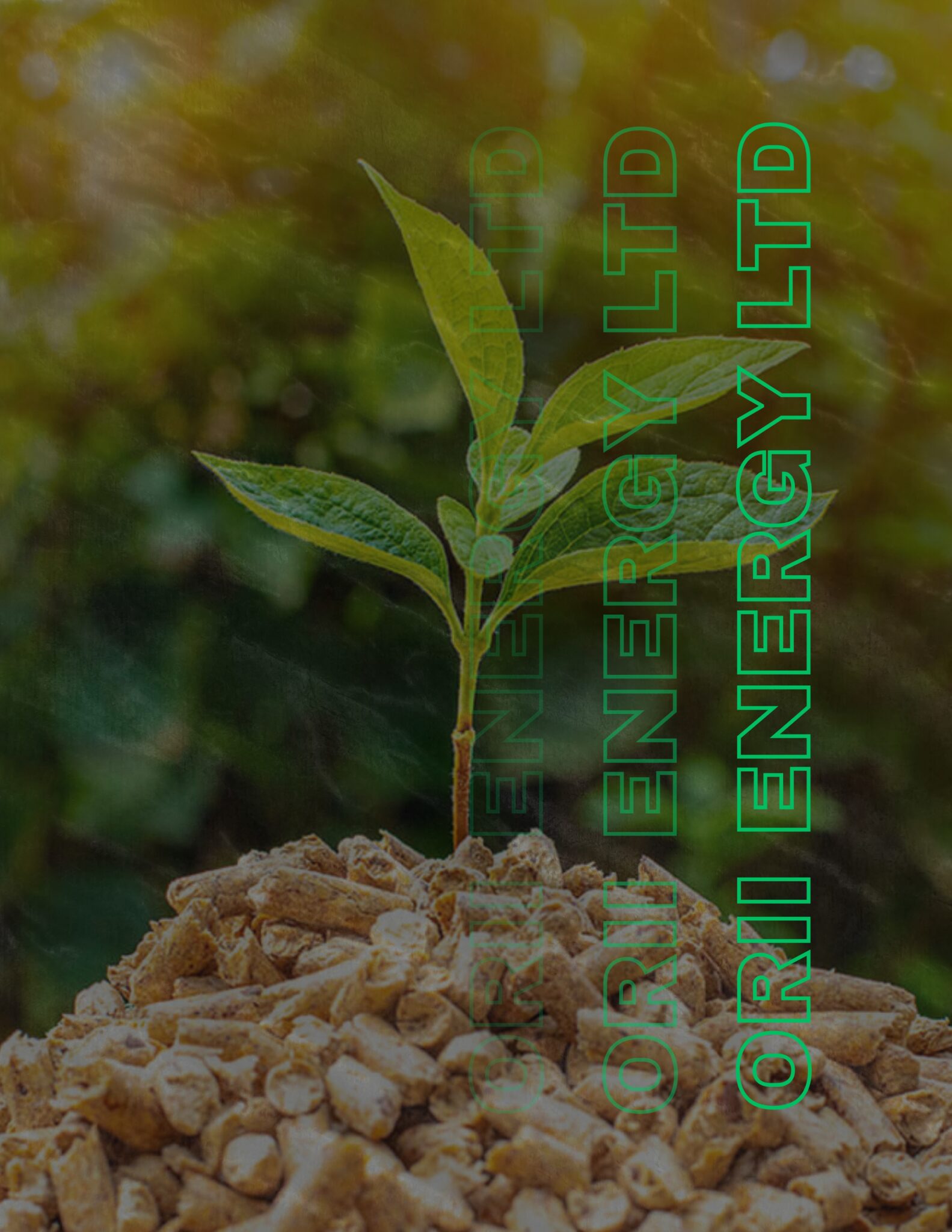 Bioenergy